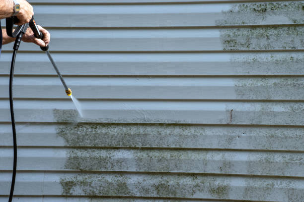 Best Furniture Removal  in Blowing Rock, NC